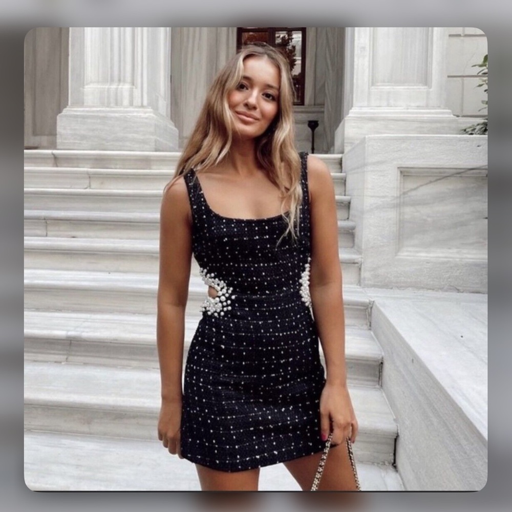 Adorable Zara Tweed Dress